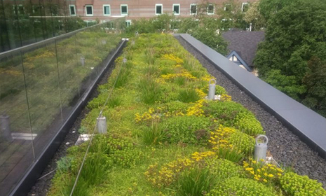 Green Roof Systems